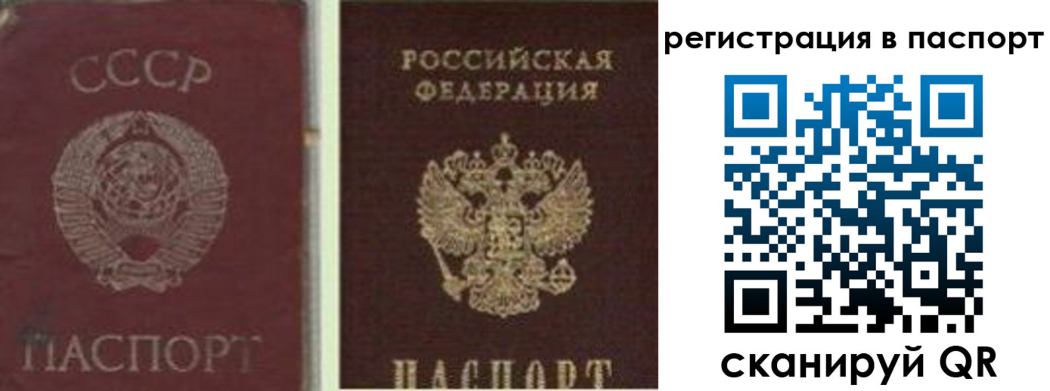 прописка для работы в Колпашево